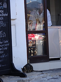 Kissa ja keittiö, Kypros